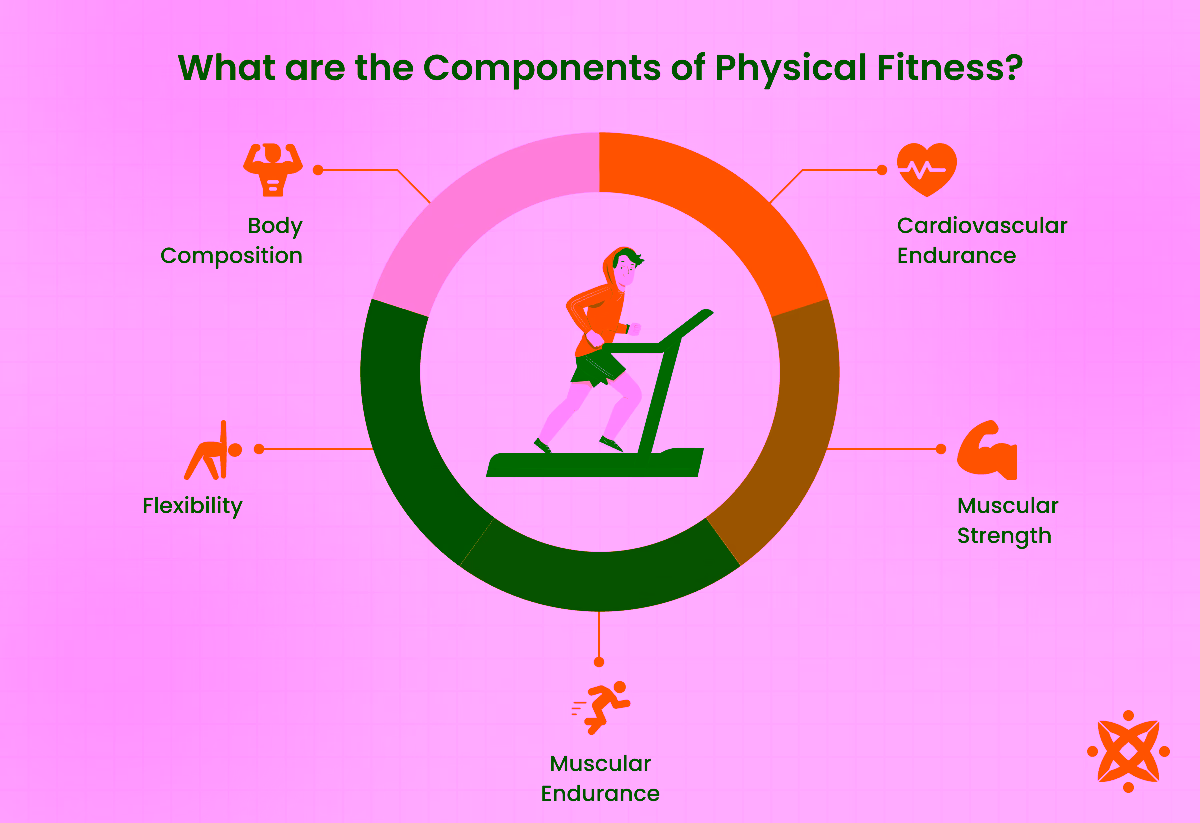 Key components of physical fitness, such as cardio, strength, and flexibility.